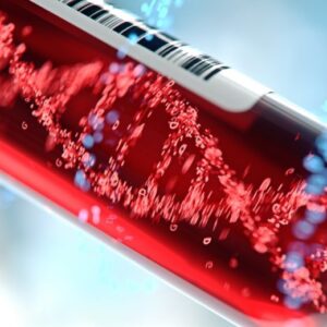 dna paternidade