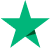 digital download store trustpilot logo.png